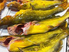 -铭记蛙小仙·活蛙畅享(CBD万达广场店)