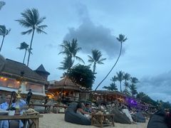 -Coco Tam’s