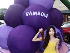 -坂田天虹