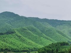 -莫干山风景区