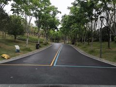 -牛岗山公园
