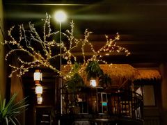-土蚝·高压锅生蚝(百姓美食街店)