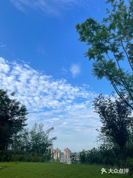 重庆科技馆图片