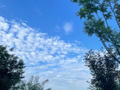-重庆科技馆