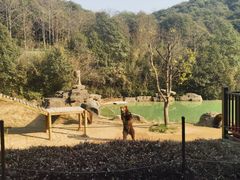 -杭州野生动物世界