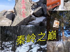 -朱雀国家森林公园