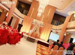 -DNA Wedding 婚礼记(上海店)