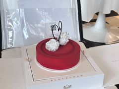 -BLACKSWAN黑天鹅(环球店)
