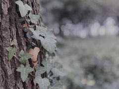 -长广溪湿地公园