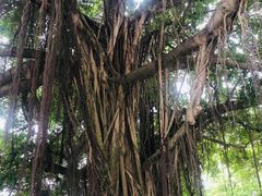 -船政文化景区-罗星塔公园