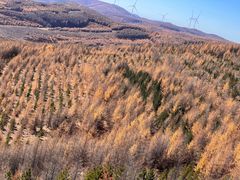 -草原天路(张北县)