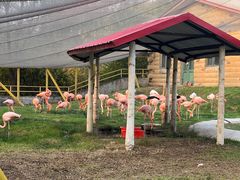 -哈尔滨北方森林动物园