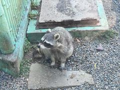 -秦皇岛野生动物园