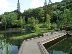 景点-云溪植物园