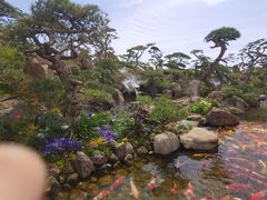 -罗红摄影艺术馆