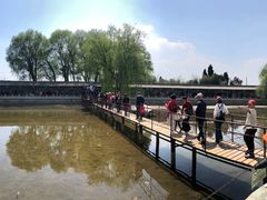 -东方巨龟苑景区