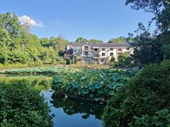 -朴墅(西湖青芝坞店·杭帮菜·家宴.14年的店)