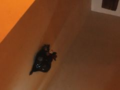 -汤臣海派理疗公馆