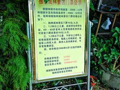 -瑞丽独树成林风景区