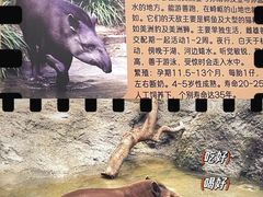 -武汉动物园