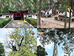 -上海佘山国家森林公园天马山园