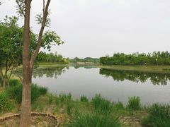 -东郊湿地公园