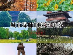 -祥源·阜阳生态乐园