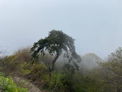 -终南山南五台景区