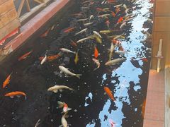 -侠成水上农庄(工业大道店)