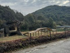 -杭州野生动物世界