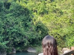 -广州白江湖森林公园