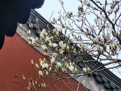 -钱王祠