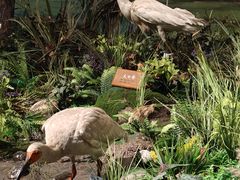 -陕西自然博物馆