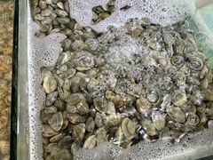 -海之鲜大排档(东山海鲜金銮湾店)