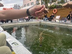 -DGE季风钓虾营地·团建·聚会