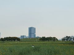 -光明小镇欢乐田园