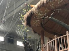 -南宫五洲植物乐园