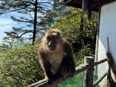 -峨眉山风景名胜区