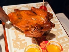 -大鸽饭(动物园店)