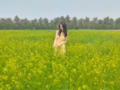 -汉长安城未央宫国家考古遗址公园