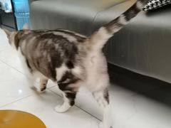 -谜盒子奇幻密室(南屏店)