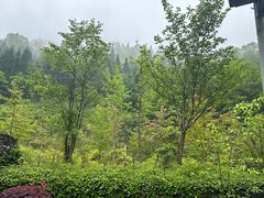 -太阳湾风景区