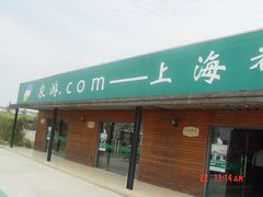 -上海都市菜园