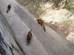 -昆明动物园