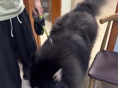 -宠福鑫动物医院(城北分院)