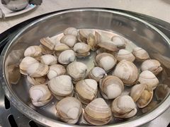 -青蓬蒸汽海鲜·深圳老字号·团建聚会(壹方城店)