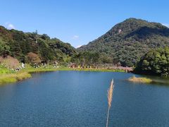 -广州市石门国家森林公园