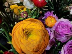 -植物学家的女儿(北马道巷店)