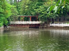 -荔湾湖公园