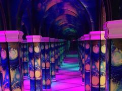 -天津梵高星空艺术馆(天河城旗舰店)